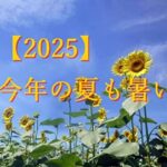 夏の暑さ