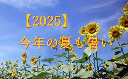 夏の暑さ