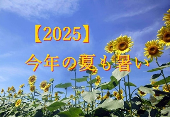 夏の暑さ