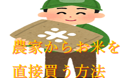 お米流通