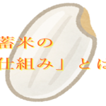 備蓄米