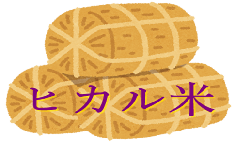 ヒカル米