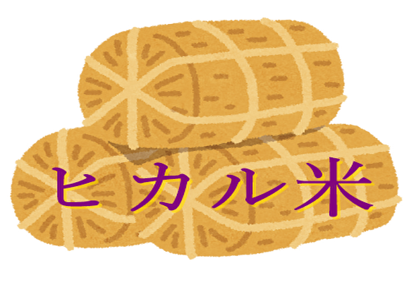 ヒカル米