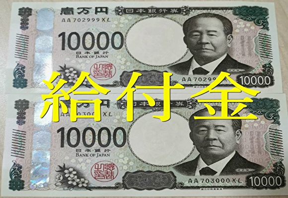 給付金2万円