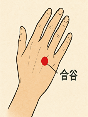 合谷（ごうこく）