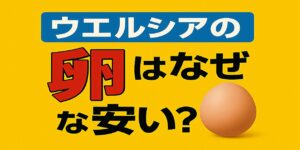 ウエルシア 卵 安い