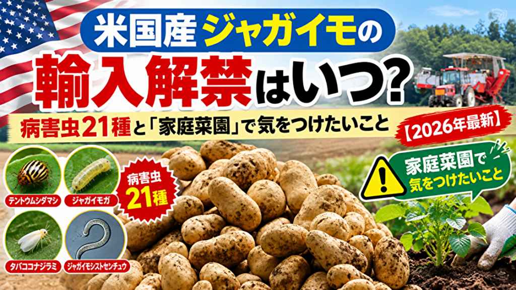 米国産ジャガイモの輸入解禁