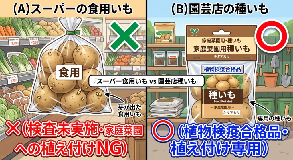 園芸店で「種いも」
